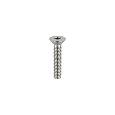 SS 304 316 socket csk screws